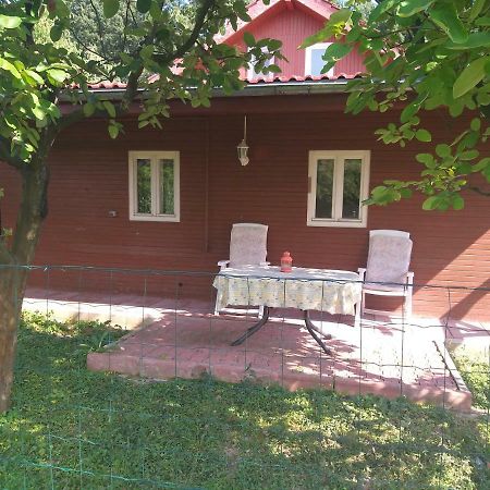 Rustic Country House In Snagov 아파트 외부 사진
